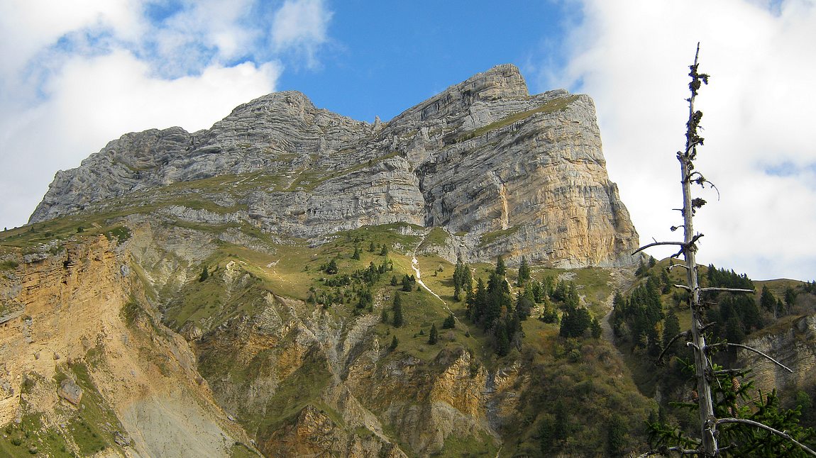 the strange forms of the crolles tooth